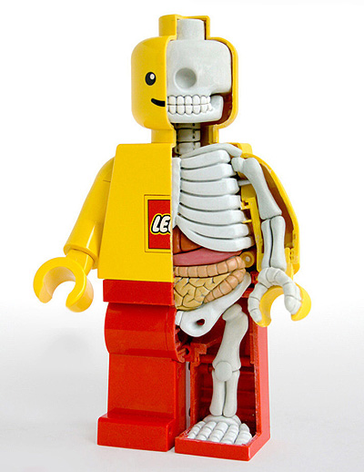 Anatomie Lego panáčka | Vtipné obrázky - obrázky.vysmátej.cz