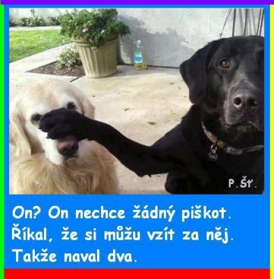 Dám si piškotek :-) | Vtipné obrázky - obrázky.vysmátej.cz
