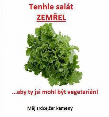 Chudák salátek | Vtipné obrázky - obrázky.vysmátej.cz