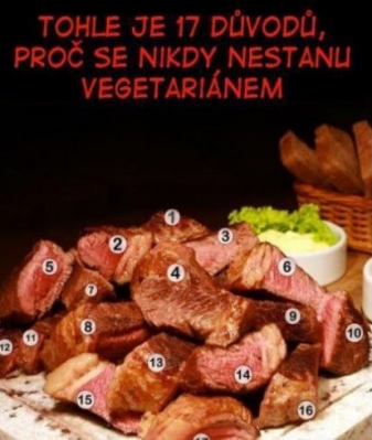 17 důvodů proč nebýt vegetarián | Vtipné obrázky - obrázky.vysmátej.cz
