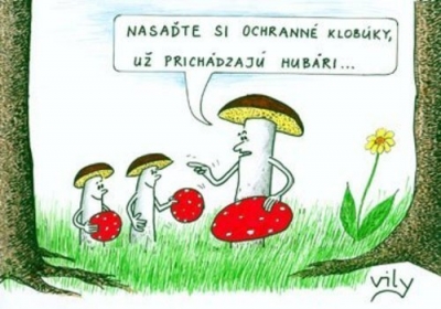 Bojkot houbařské sezony  | Vtipné obrázky - obrázky.vysmátej.cz