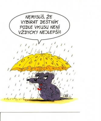 Deštník jak dělaný do deště | Vtipné obrázky - obrázky.vysmátej.cz