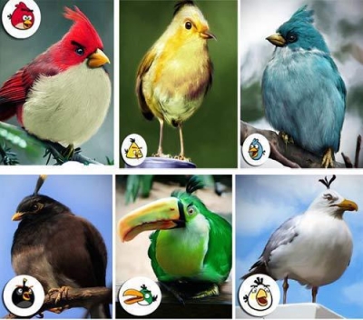 Angry Birds v reálu | Vtipné obrázky - obrázky.vysmátej.cz