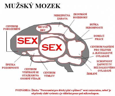 Tajemství mužského mozku | Vtipné obrázky - obrázky.vysmátej.cz
