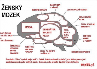 Tajemství ženského mozku | Vtipné obrázky - obrázky.vysmátej.cz